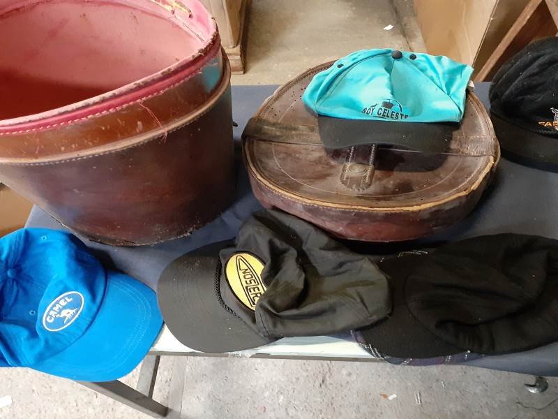 Lote 83