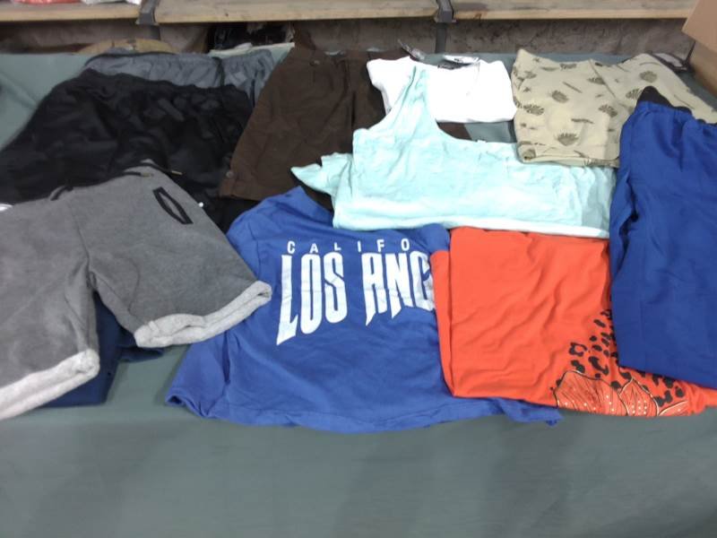 Lote 220