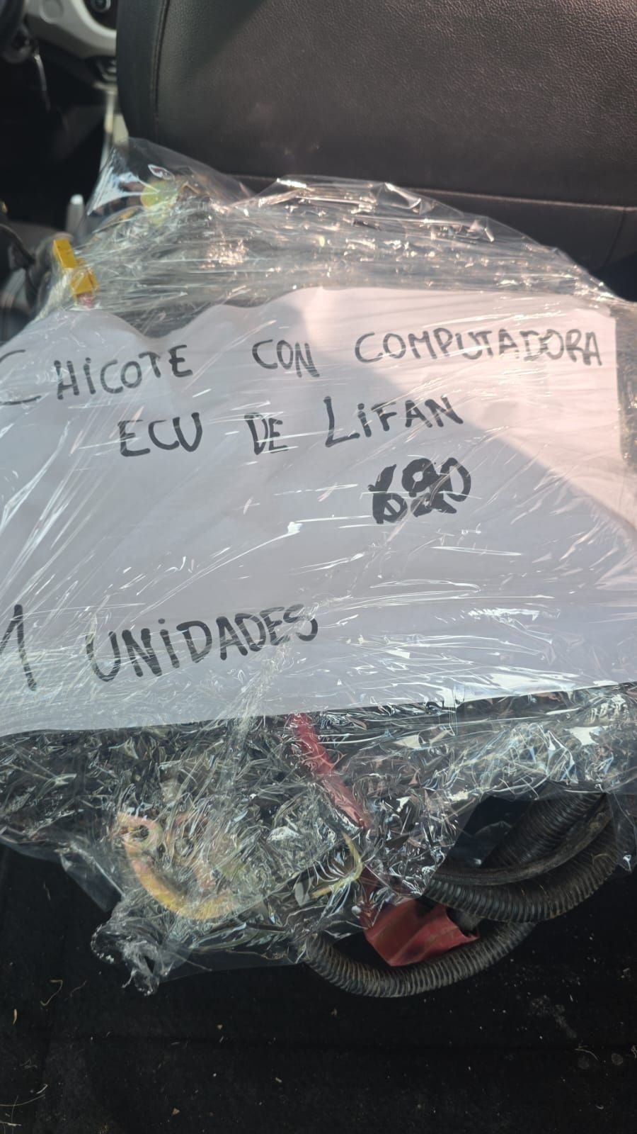 Lote 231