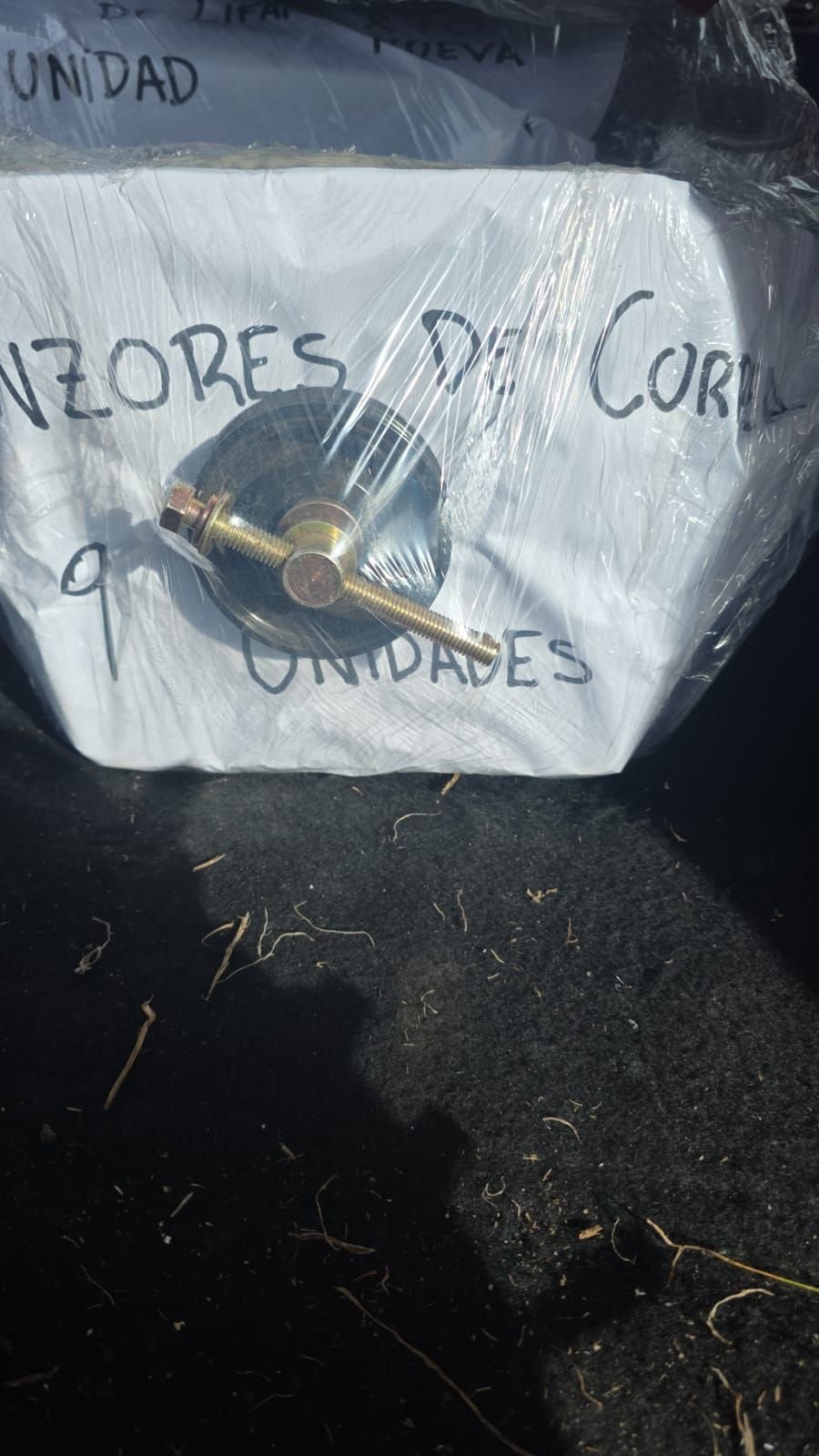 Lote 232