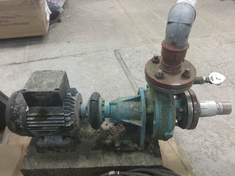 Lote 317
