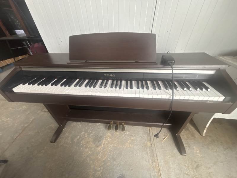 Lote 319