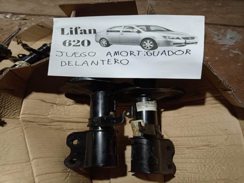 Lote 313