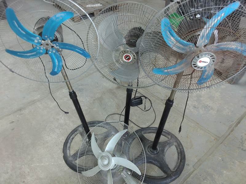 Lote 428