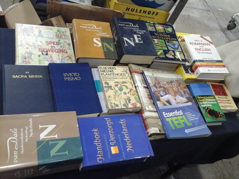 Lote 53