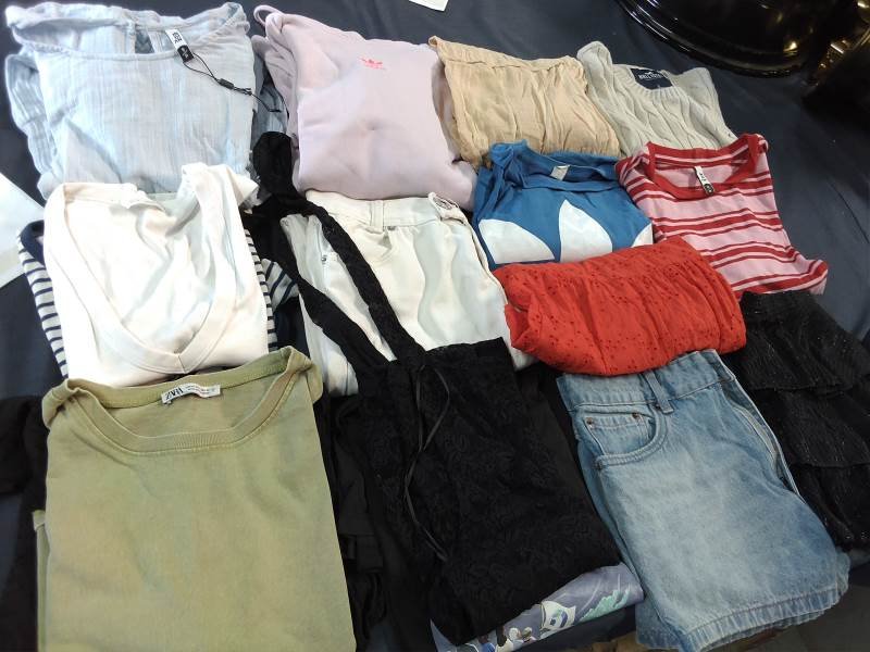 Lote 600