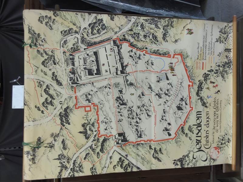 Lote 585